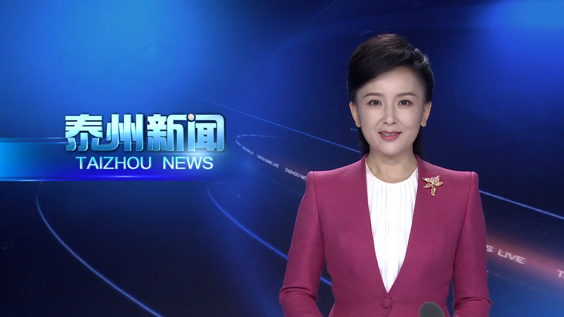 全市群众身边不正之风和腐败问题集中整治推进会召开